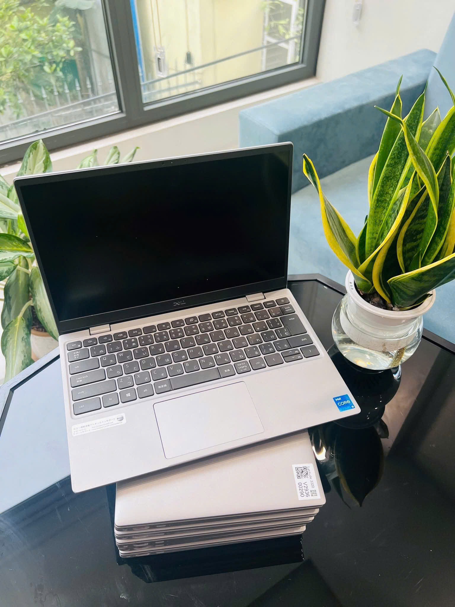 z6977795372669_5441cd2d0e28b33c13869bba5b41d3fd