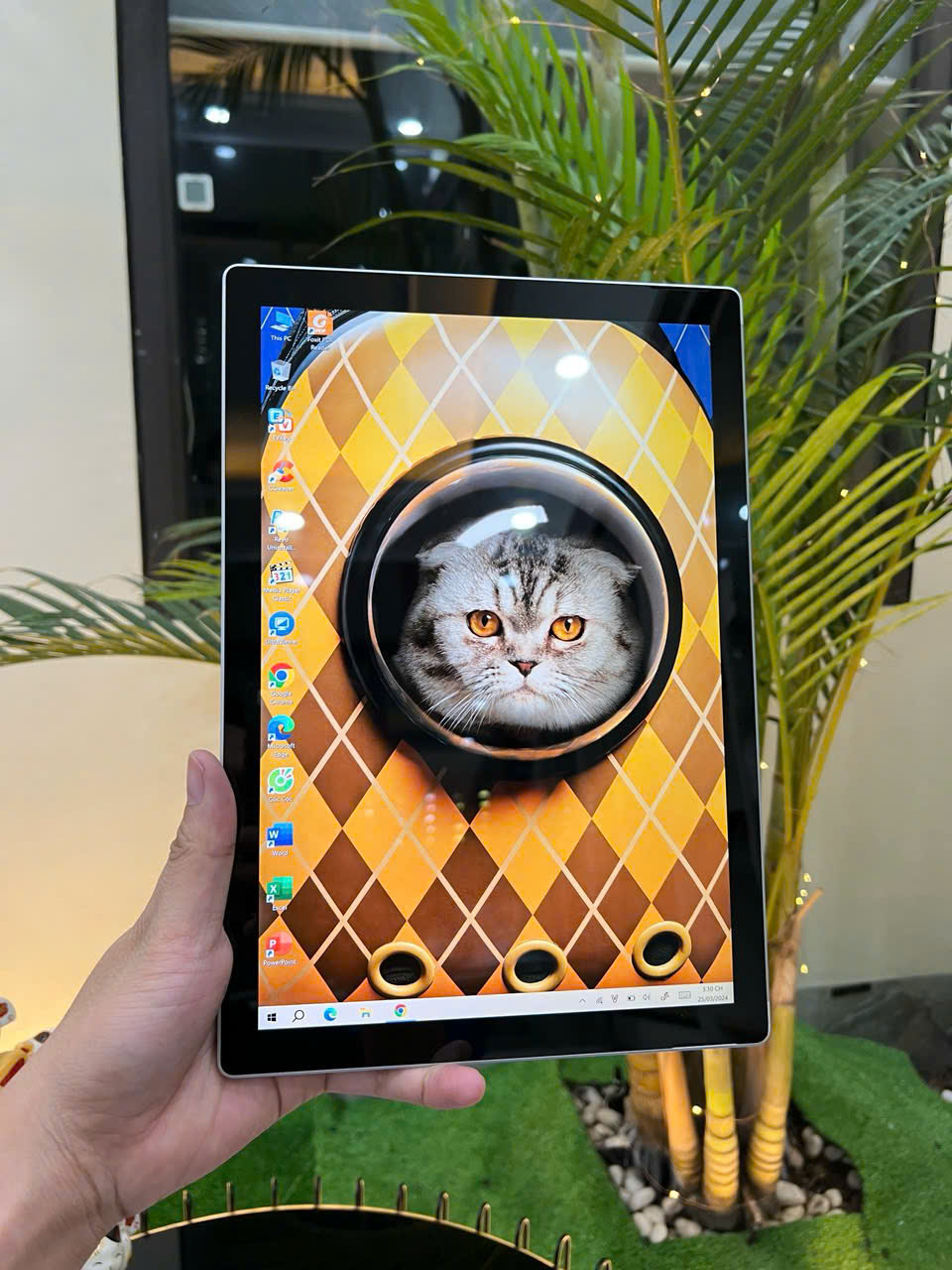 z7008533698250_e2a8d2081c2a3532803fcb41046b8349